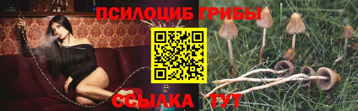 Галлюциногенные грибы мухоморы Тула
