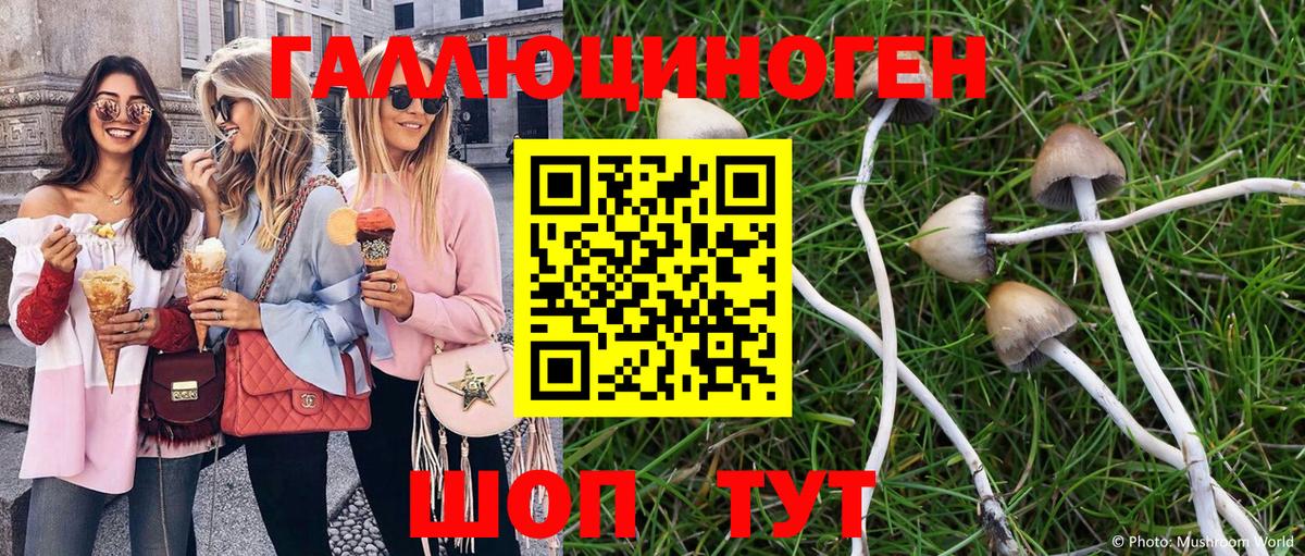 Галлюциногенные грибы ЛСД  Вход с VPN  Тула 